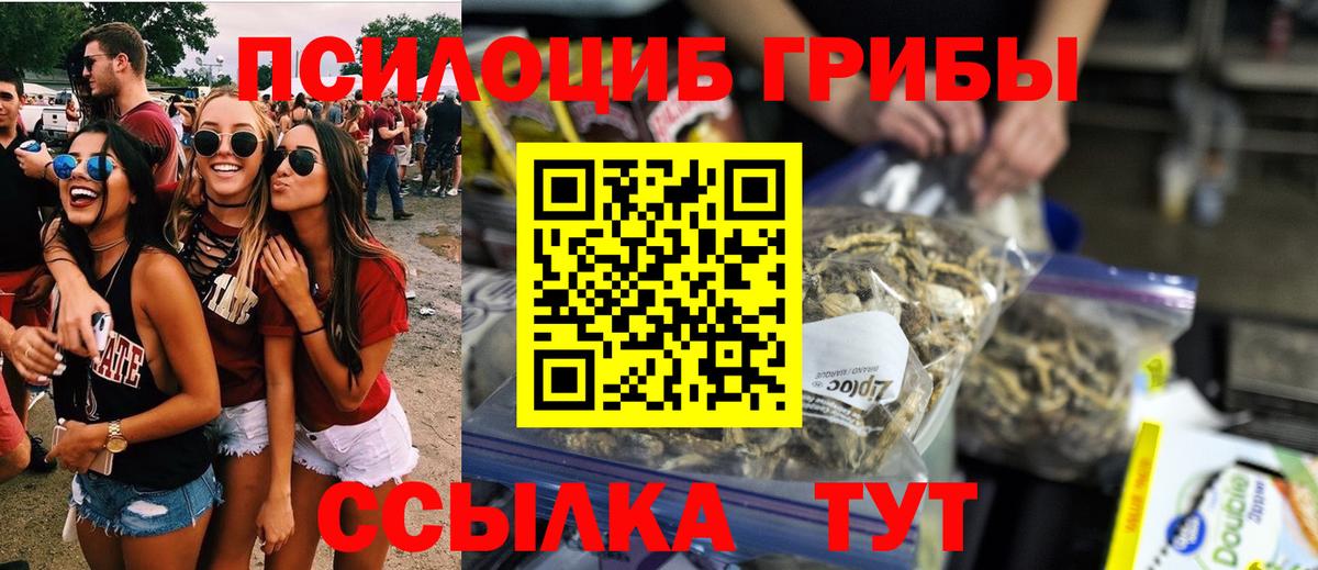 Галлюциногенные грибы Psilocybine cubensis Лесозаводск